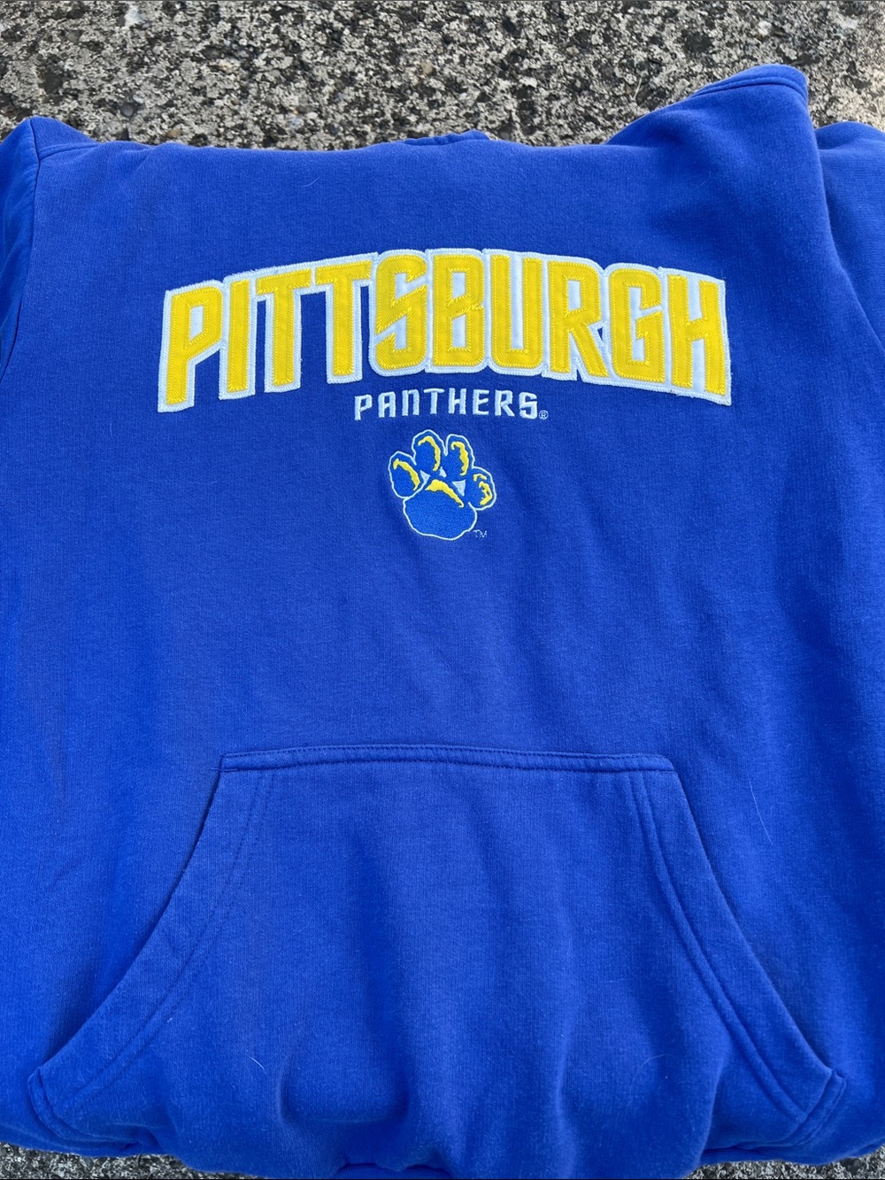Pittsburgh Panthers Blue Embroidered Sweatshirt